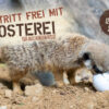 "Eintritt frei mit Osterei"-Aktion im Serengeti -Park