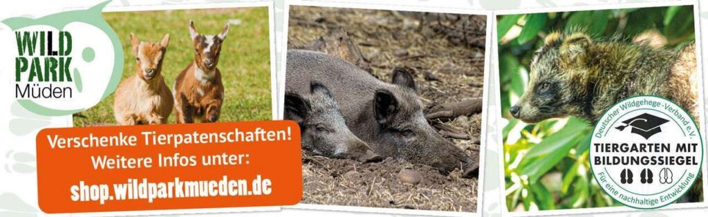 Wildpark Müden: Aus Schrott wird Schönes
