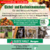 Wildpark Müden: Große Eichel- und Kastaniensammelaktion