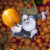 Regionale Halloween-Deko im Europa-Park