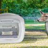 Wildpark Müden: Eine Nacht allein im Wildpark