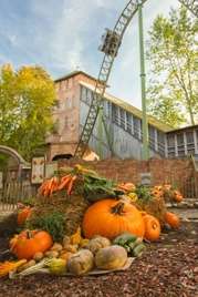 Hansa Park: Neuheiten 2023 und sonstige Themen des letzten Newsletters