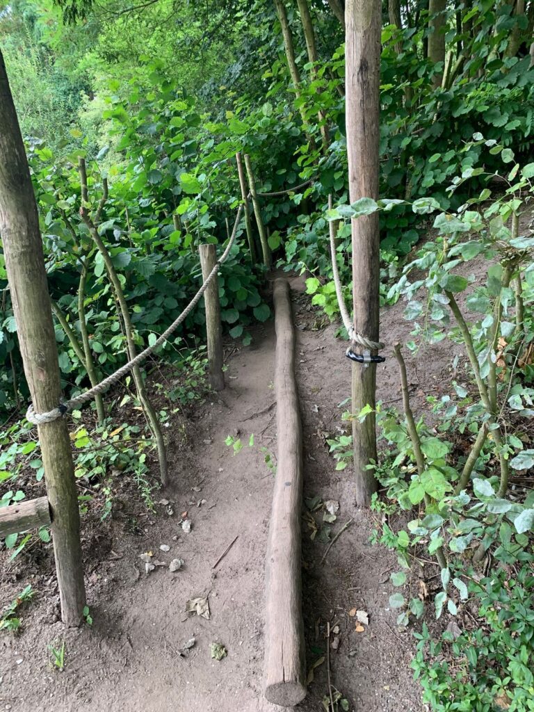 Tagesbericht ZooParc Overloon