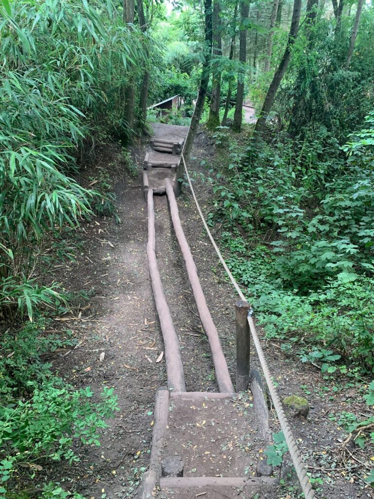 Tagesbericht ZooParc Overloon