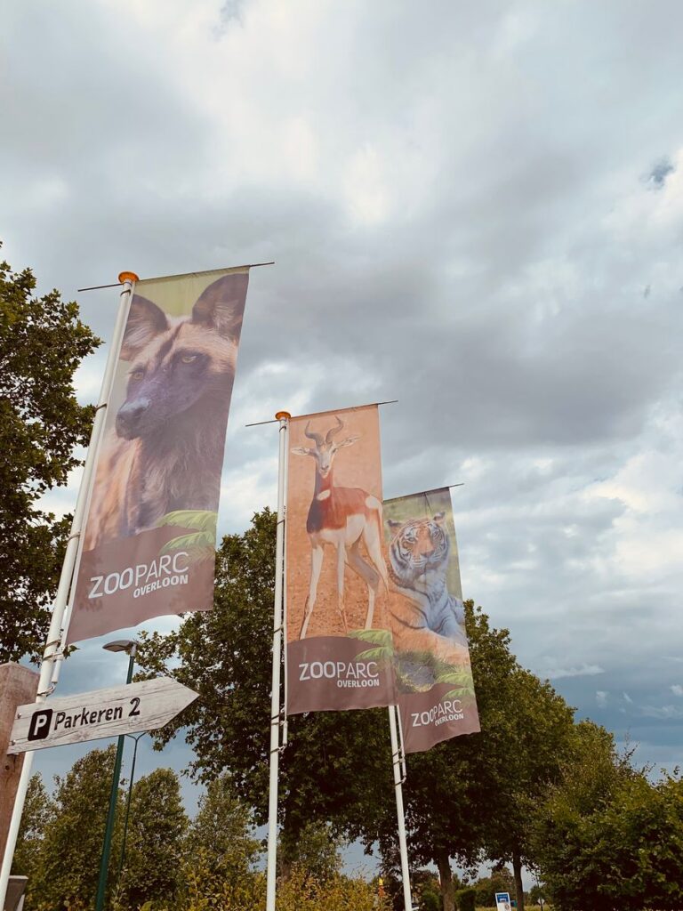 Tagesbericht ZooParc Overloon