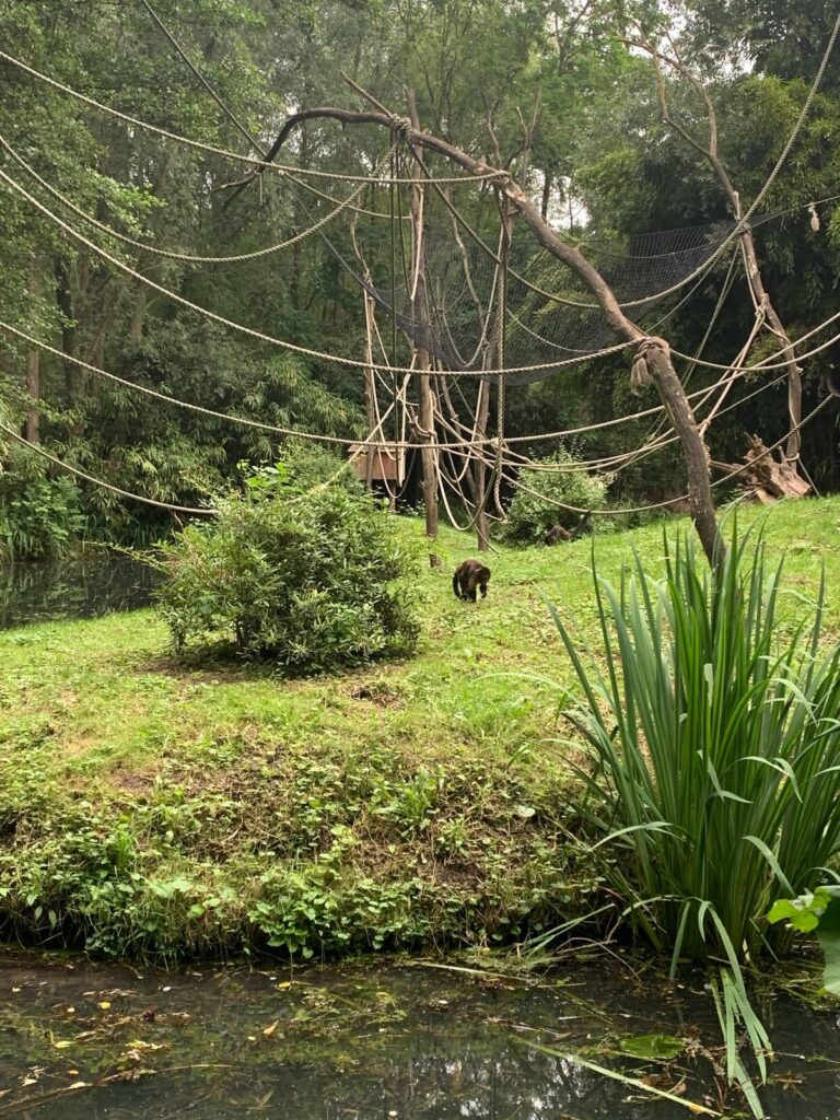 Tagesbericht ZooParc Overloon