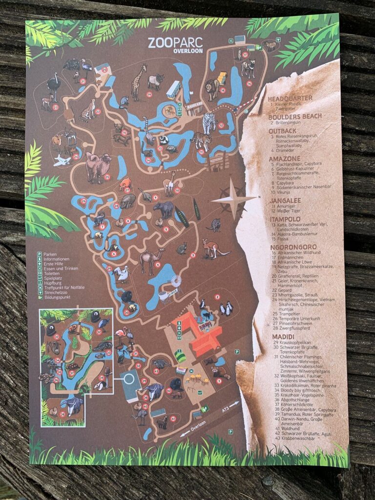 Tagesbericht ZooParc Overloon
