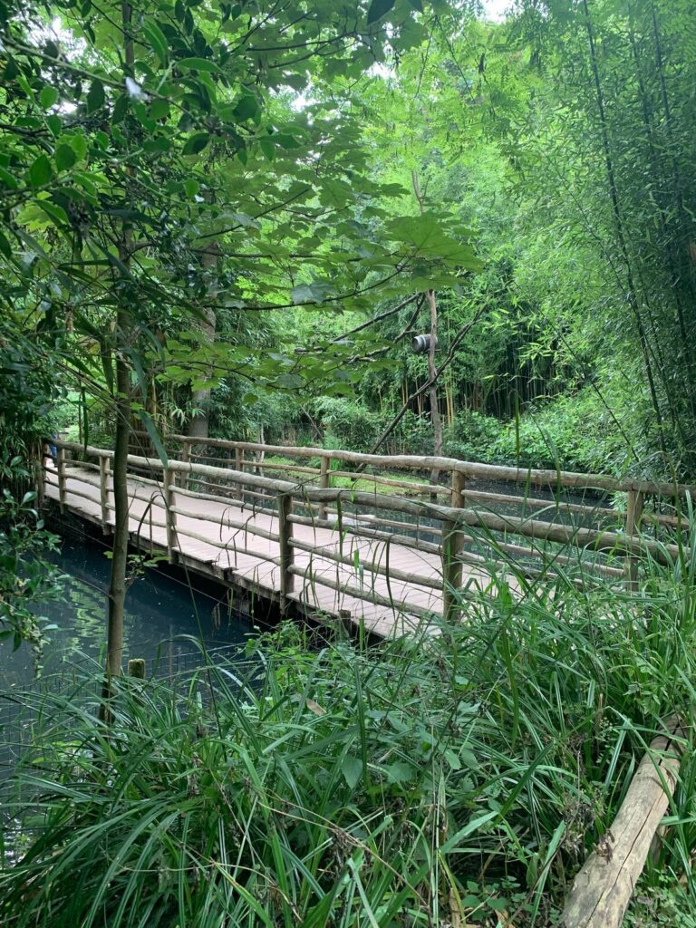 Tagesbericht ZooParc Overloon