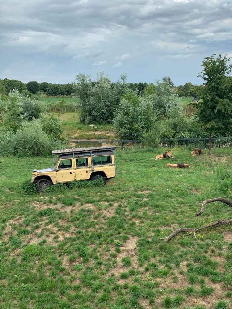 Tagesbericht ZooParc Overloon