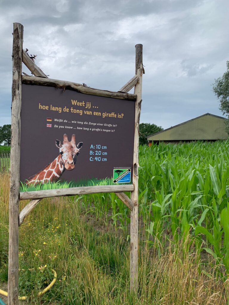 Tagesbericht ZooParc Overloon