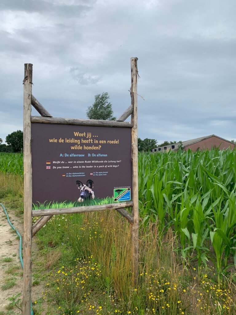 Tagesbericht ZooParc Overloon