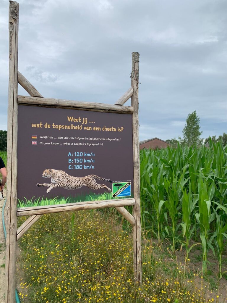 Tagesbericht ZooParc Overloon