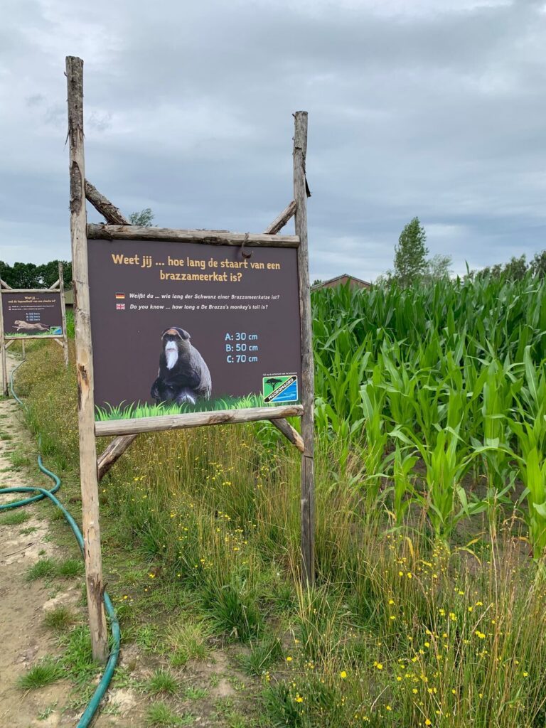 Tagesbericht ZooParc Overloon