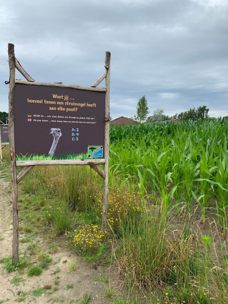 Tagesbericht ZooParc Overloon