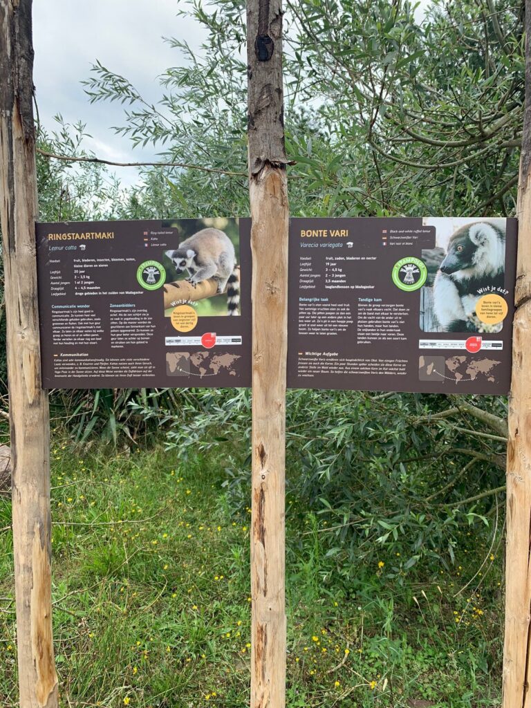 Tagesbericht ZooParc Overloon