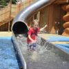Sommernachtsparty im Europa Park