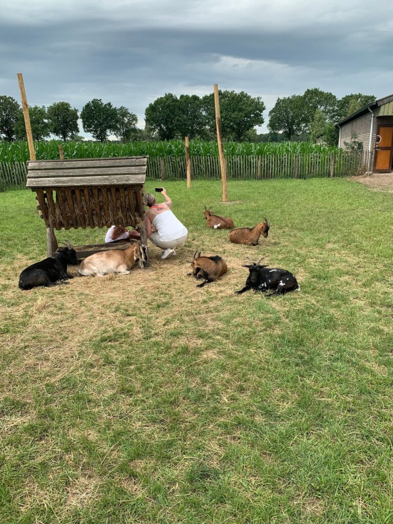 Tagesbericht ZooParc Overloon
