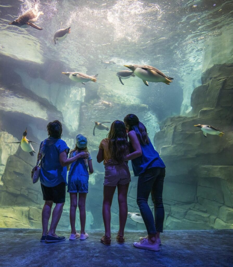 2024: Neue Achterbahn im SeaWorld Orlando