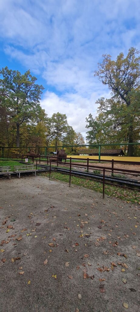 Zu Gast bei Schloss Thurn an Halloween ein schöner Familien Park & ein überragendes Halloween Event