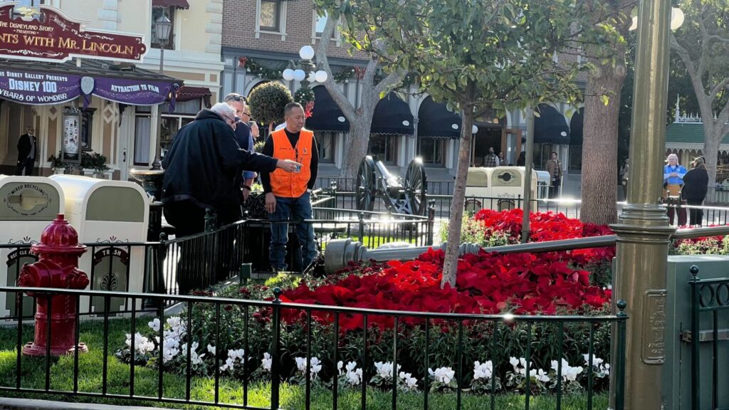 Lampe stürzt im Disneyland um und verletzt mehrere Personen