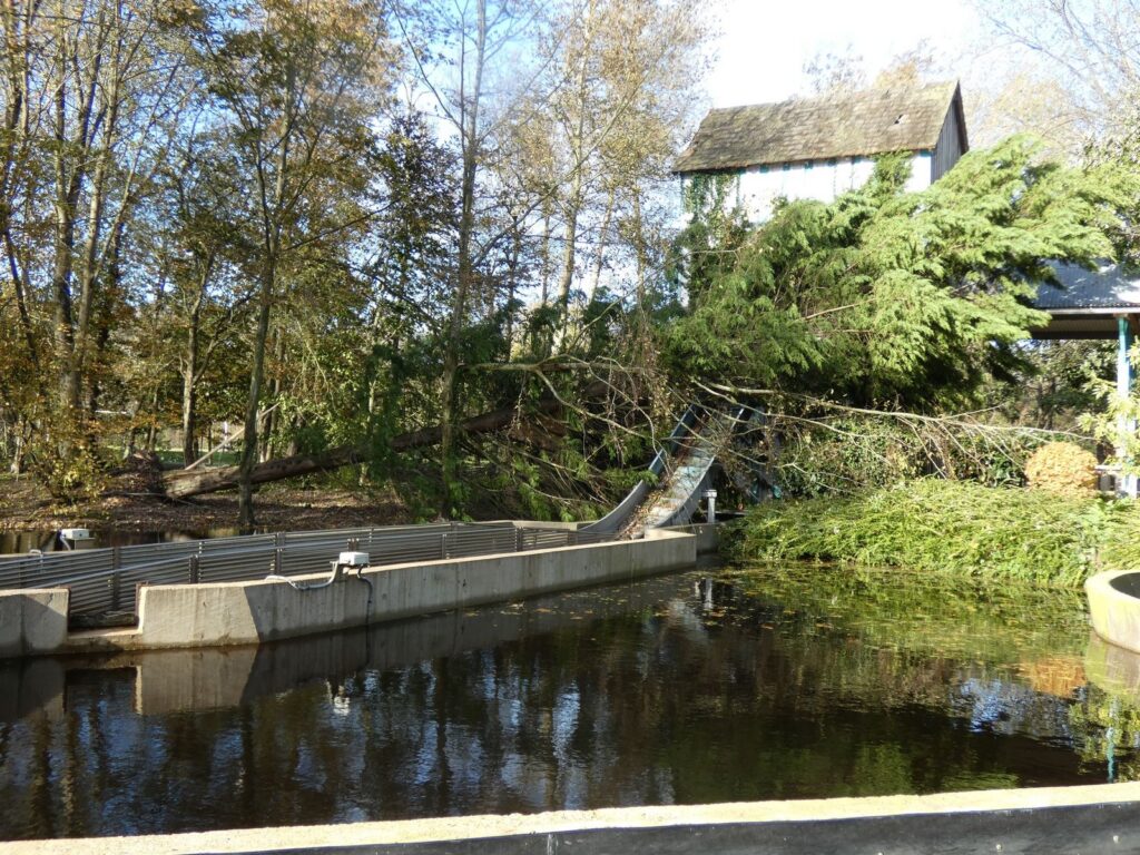 Parc Bagatelle vom Sturm "Ciaran" schwer getroffen