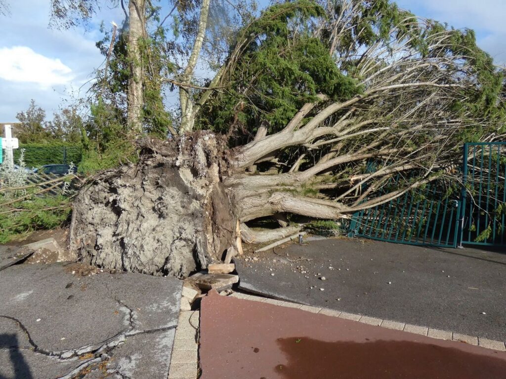 Parc Bagatelle vom Sturm "Ciaran" schwer getroffen