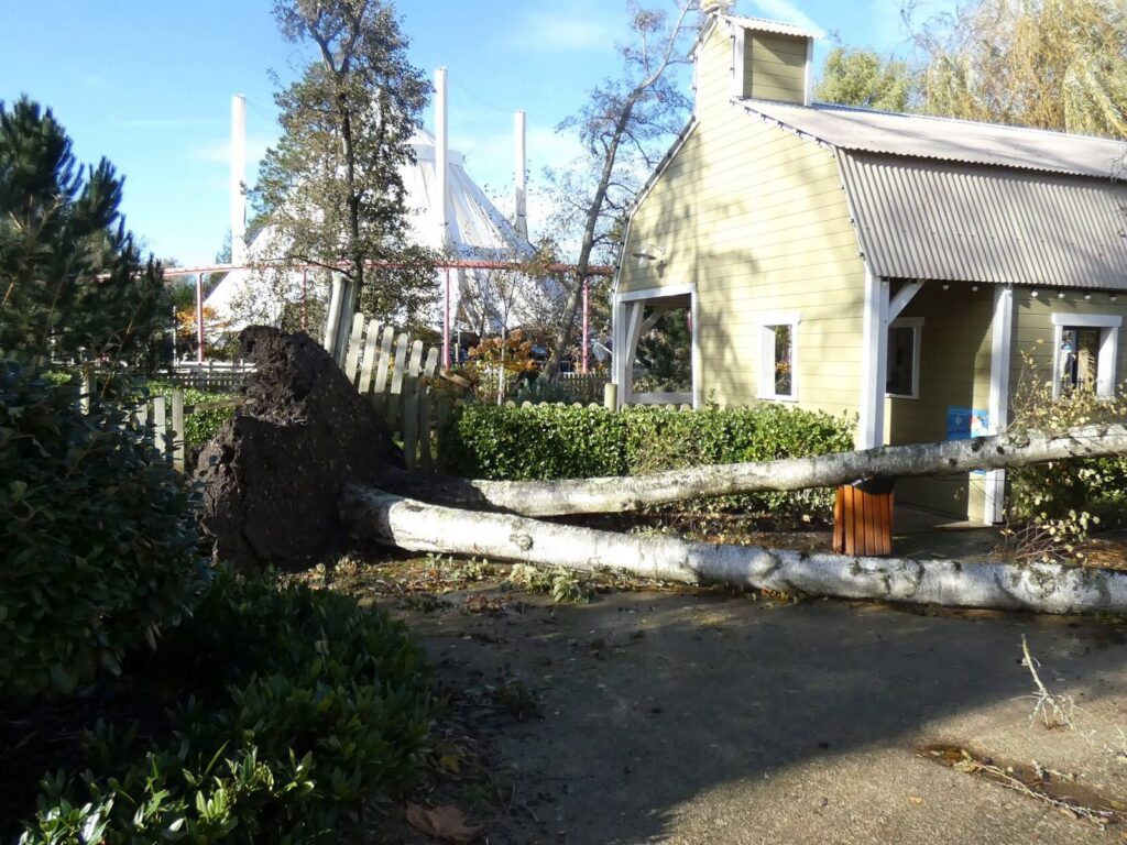 Parc Bagatelle vom Sturm "Ciaran" schwer getroffen