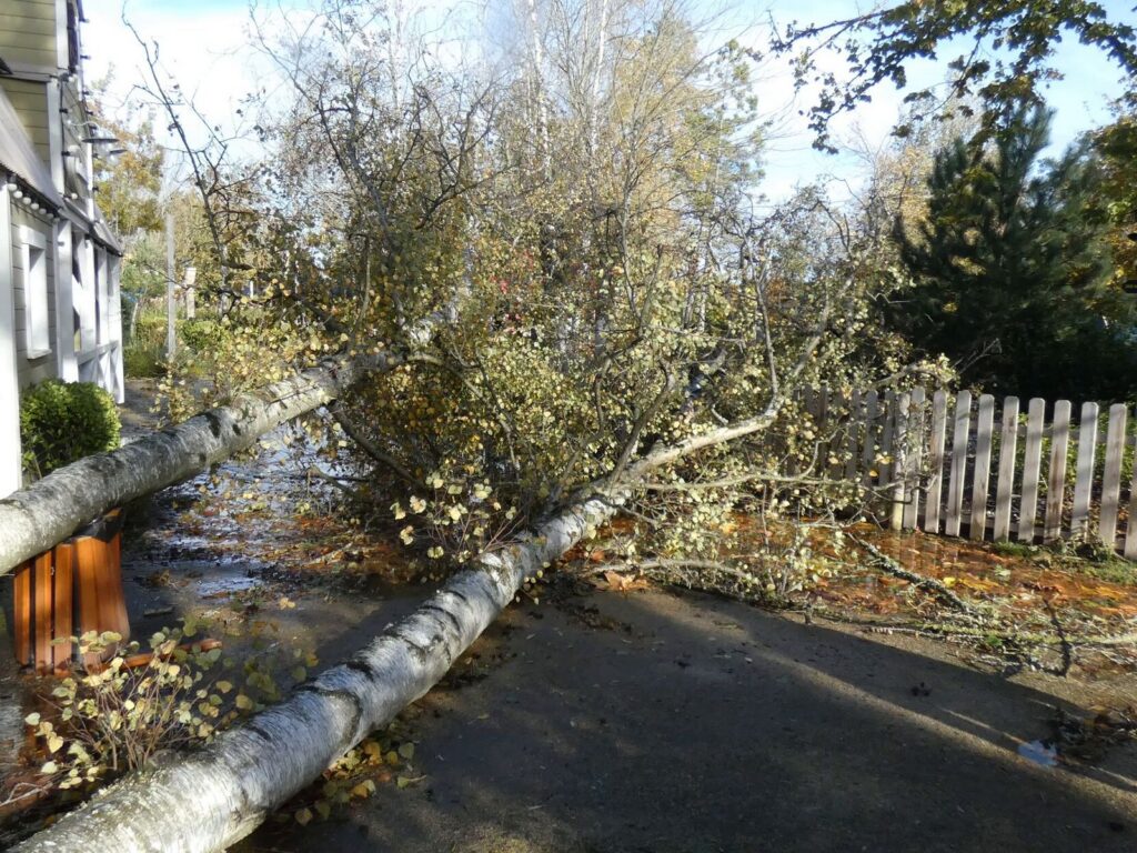 Parc Bagatelle vom Sturm "Ciaran" schwer getroffen