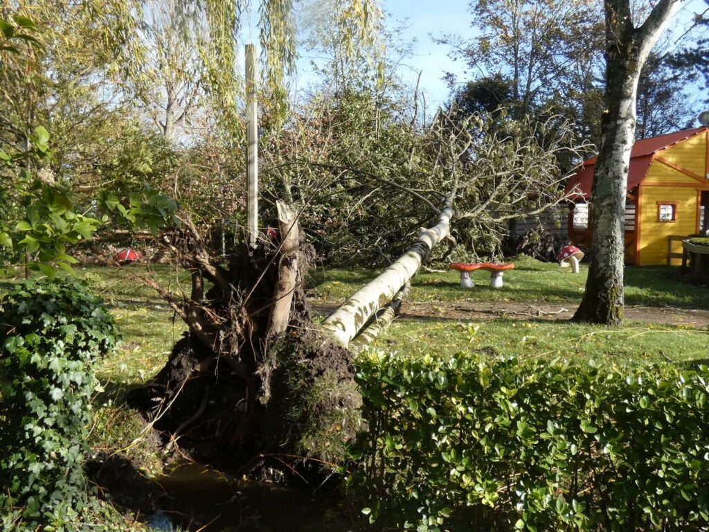 Parc Bagatelle vom Sturm "Ciaran" schwer getroffen