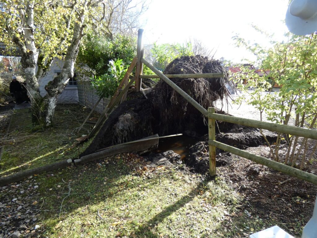 Parc Bagatelle vom Sturm "Ciaran" schwer getroffen
