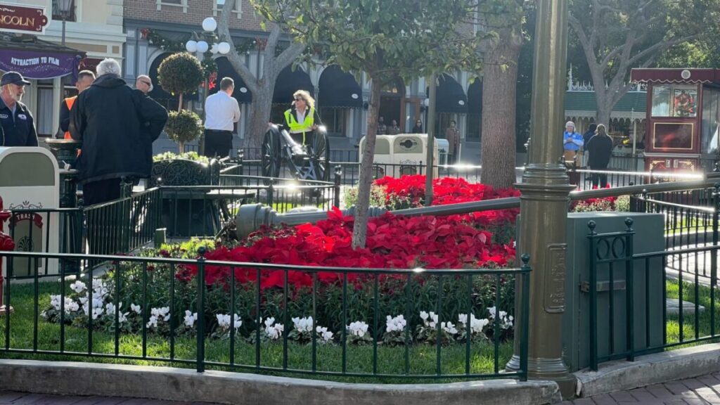 Lampe stürzt im Disneyland um und verletzt mehrere Personen