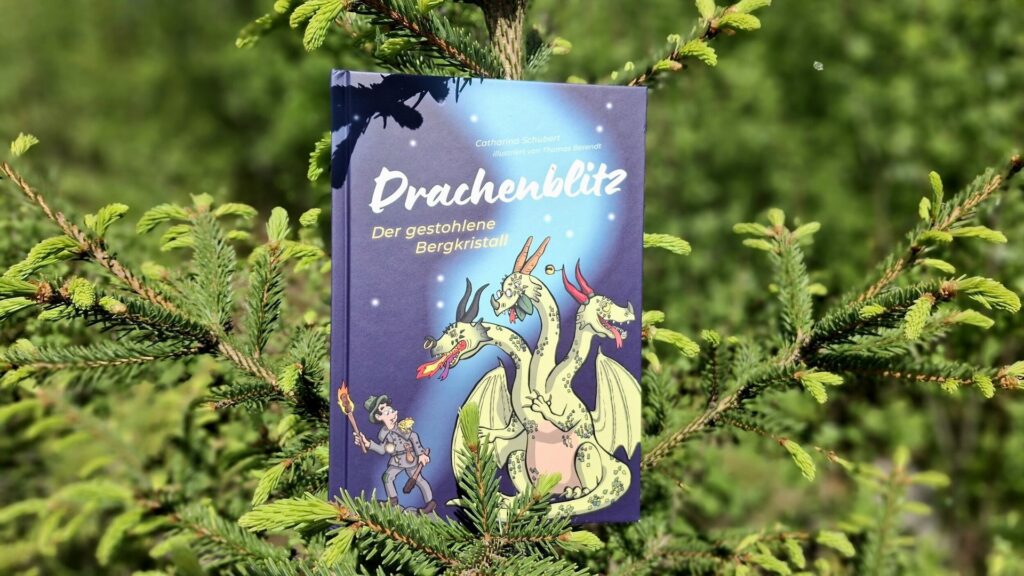ErlebnisBocksBerg Hahnenklee: Drachenblitz