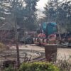Jardin d'Acclimatation: Défi du Dragon