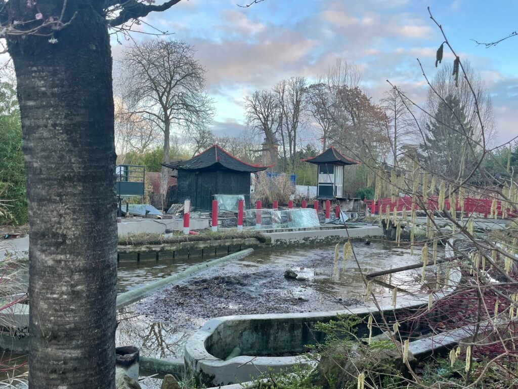 Jardin d'Acclimatation: Défi du Dragon