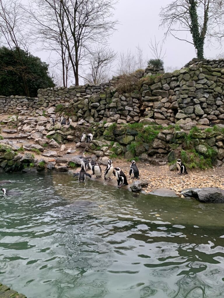 Tagesbericht Burgers’ Zoo