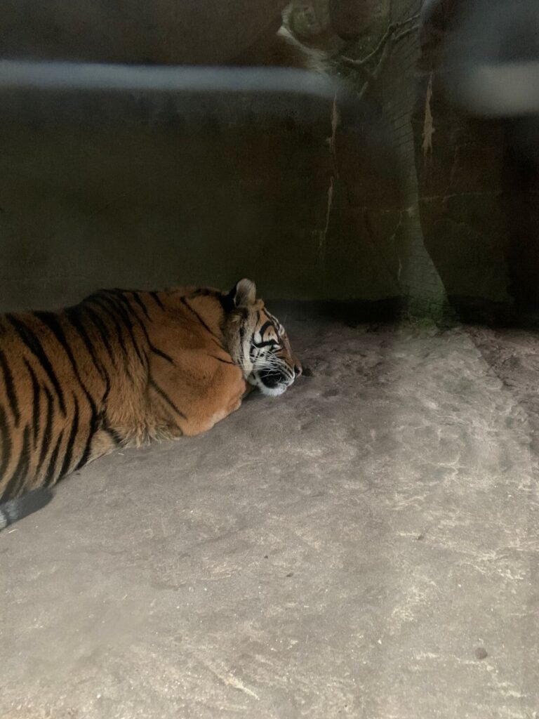 Tagesbericht Burgers’ Zoo
