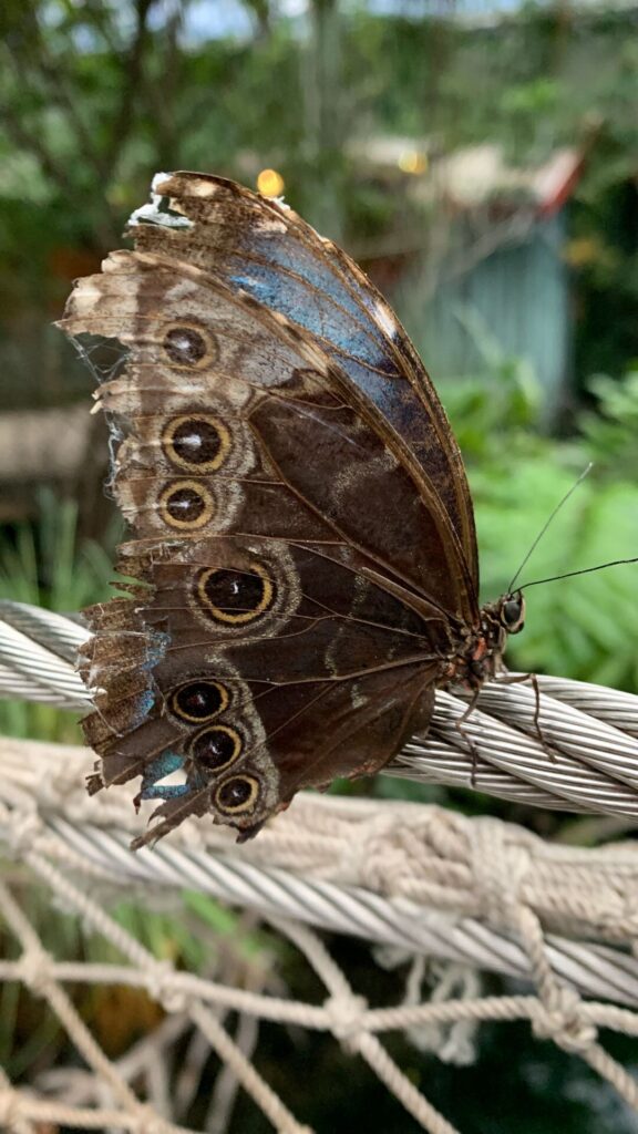 Tagesbericht Burgers’ Zoo