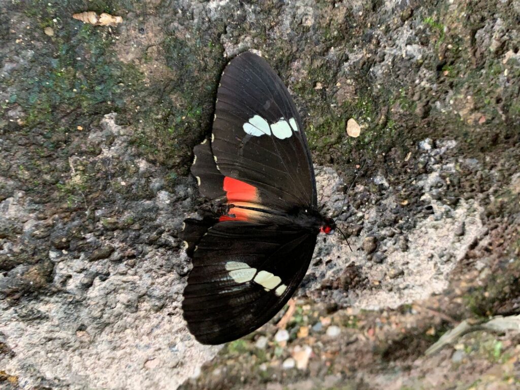 Tagesbericht Burgers’ Zoo