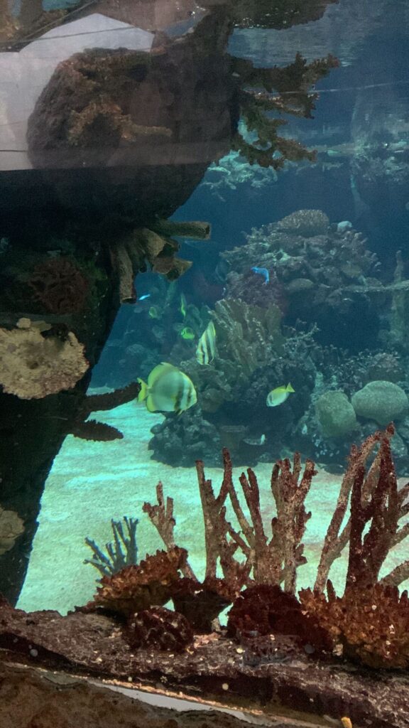 Tagesbericht Burgers’ Zoo