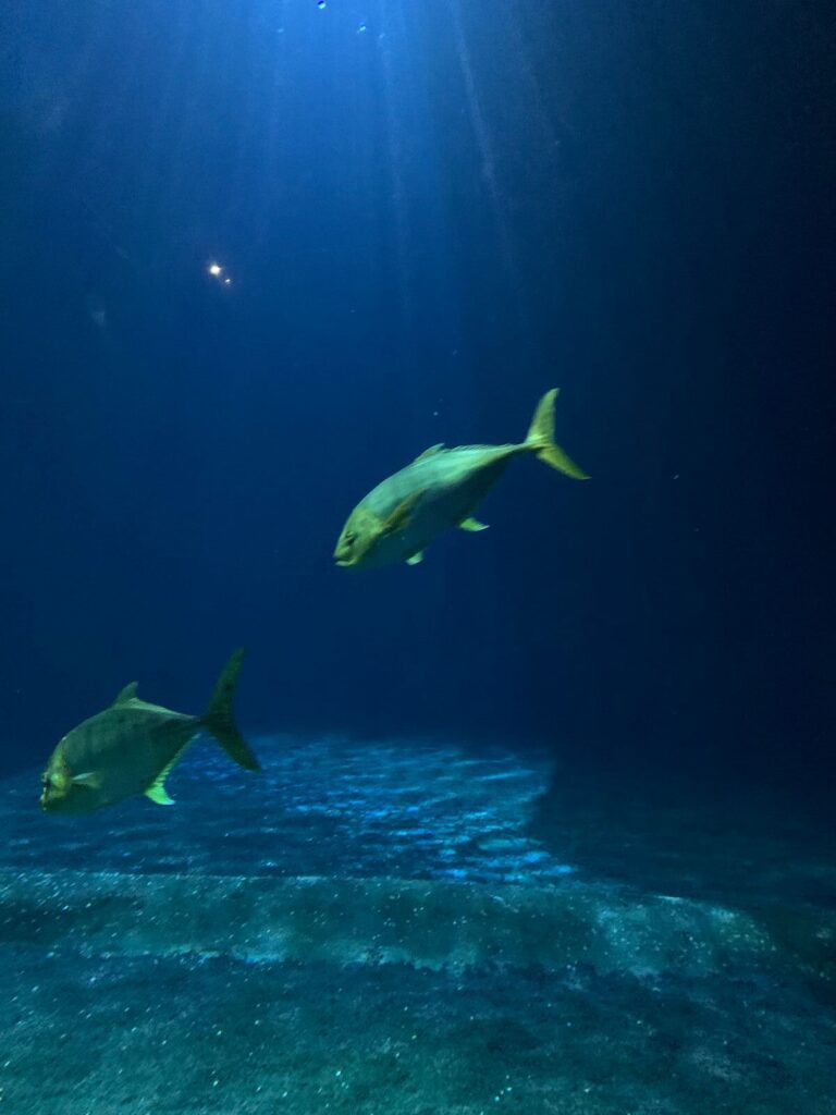 Tagesbericht Burgers’ Zoo
