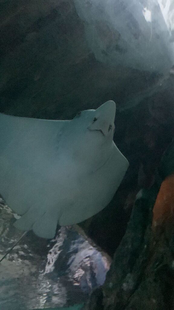 Tagesbericht Burgers’ Zoo