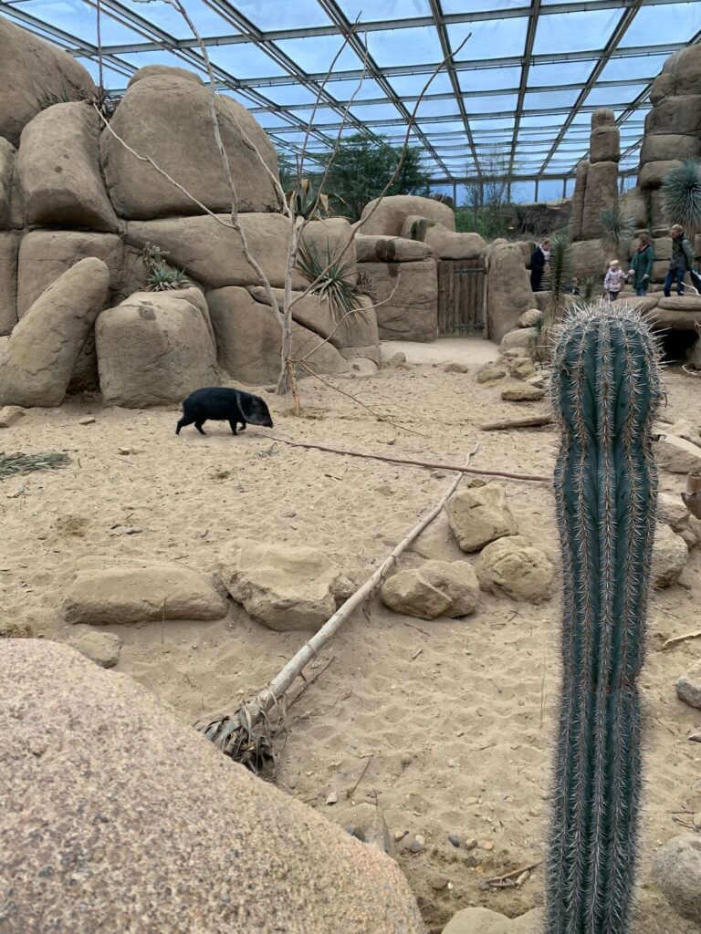 Tagesbericht Burgers’ Zoo