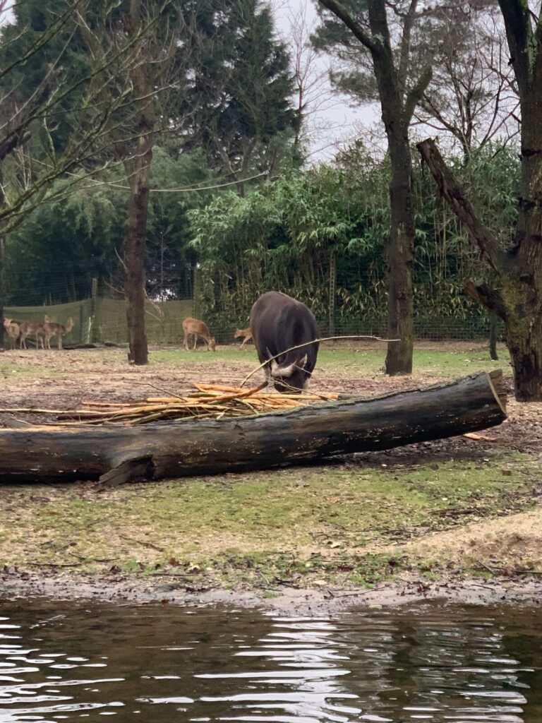 Tagesbericht Burgers’ Zoo