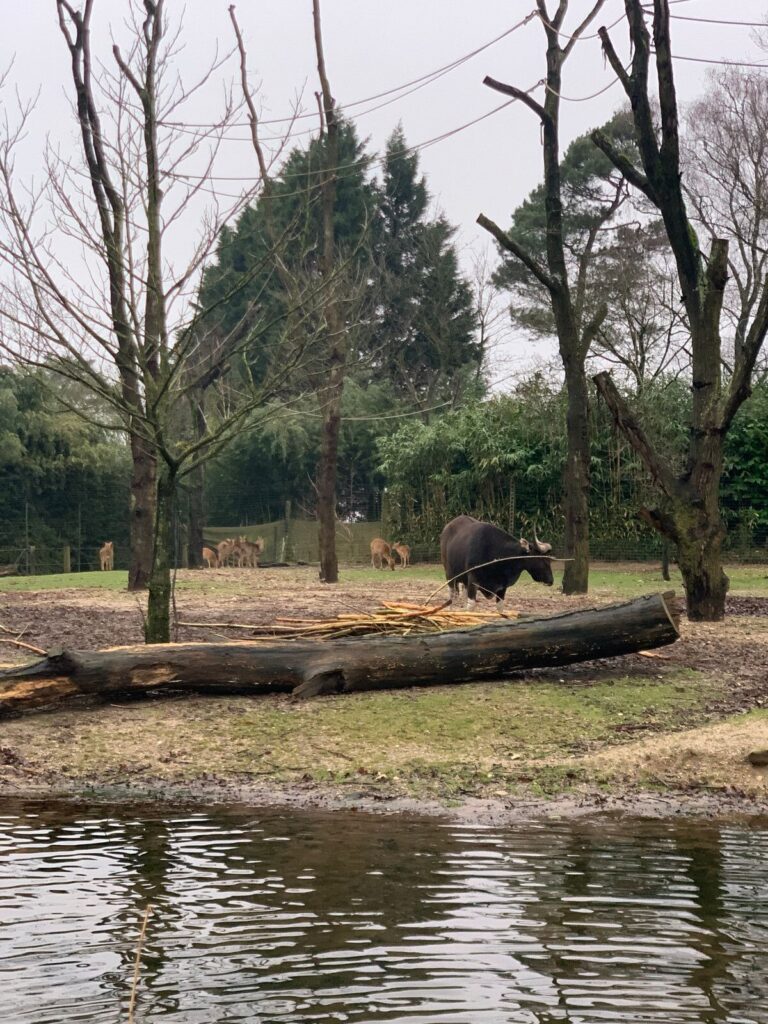 Tagesbericht Burgers’ Zoo