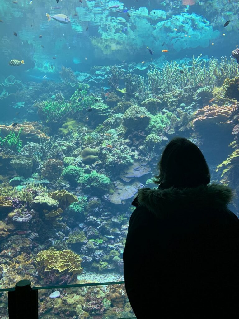 Tagesbericht Burgers’ Zoo