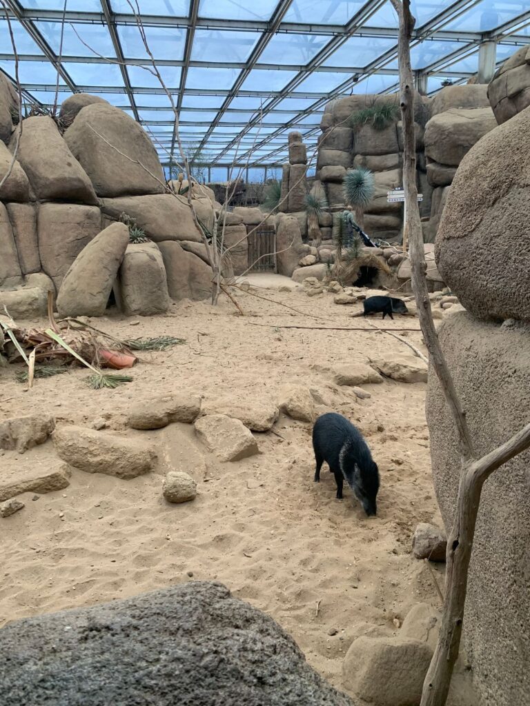 Tagesbericht Burgers’ Zoo