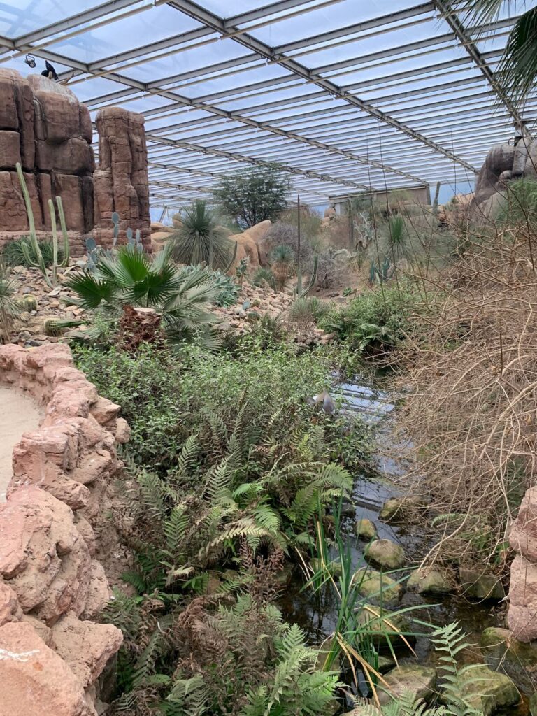 Tagesbericht Burgers’ Zoo