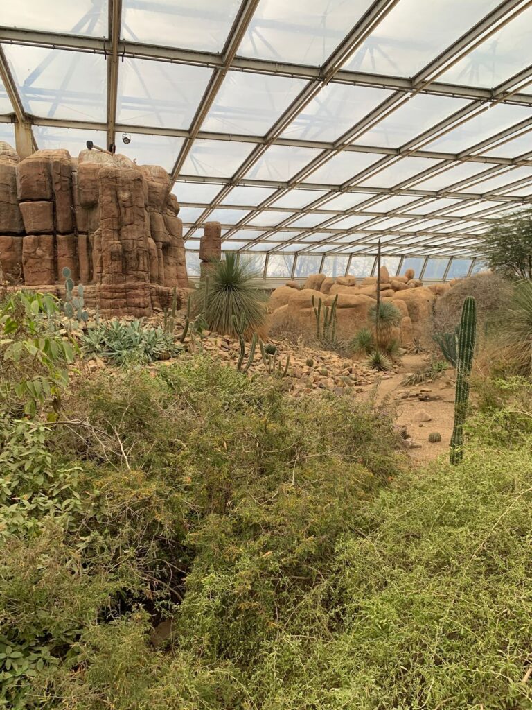 Tagesbericht Burgers’ Zoo