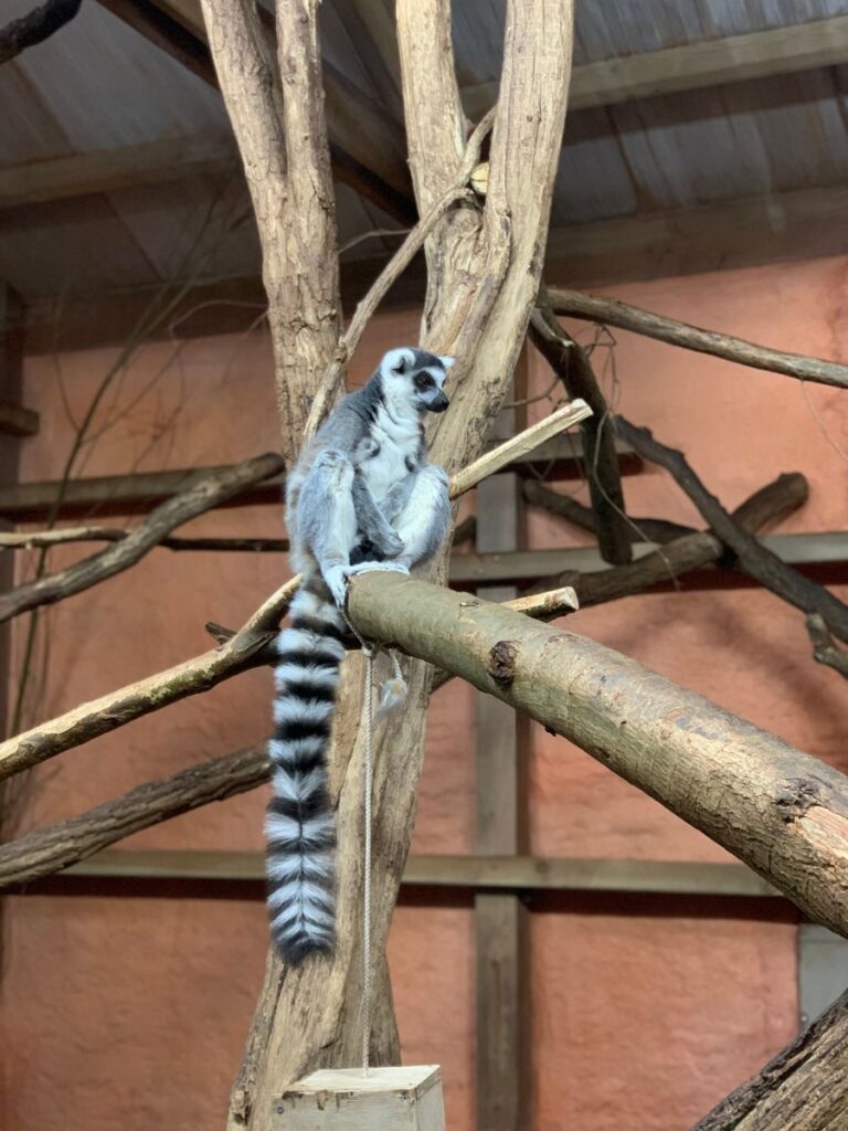 Tagesbericht Burgers’ Zoo