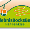 ErlebnisBocksBerg Hahnenklee: Drachenblitz